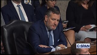 Ted Cruz Makes Democrat Witness Squirm With A Simple Question