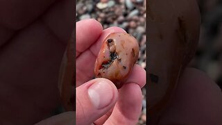 I found an EPIC agate in Lake Superior!!