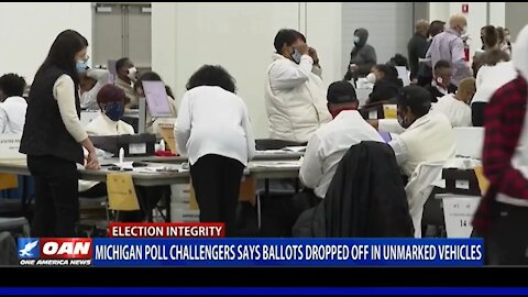 More MI Poll Challengers Speak Out