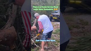 Hurricane Force Winds Toppled Tree onto Trail | Time to Clear Path for Vehicles #shorts
