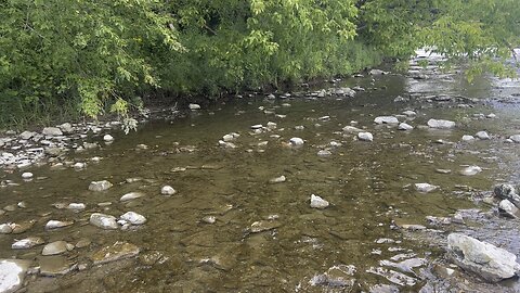 Humber River flow. Salmon red spots added for spawning season