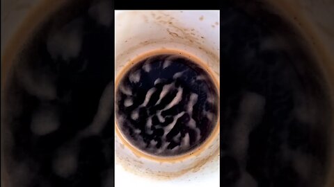 Chladni Coffee Faraday Waves