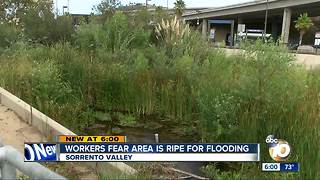 Workers fear Sorrento Valley area is ripe for flooding