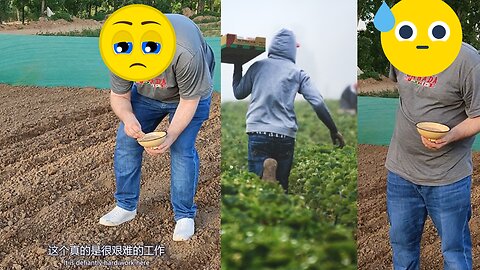 Foreigner Helps on Chinese In-Laws' Farm, Appreciates Farmers' Hard Work