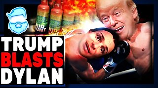 Bud Light ROASTED By Donald Trump & CEO Panics Blaming EVERYONE Else To Not Get FIRED