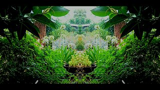 Country garden with heavy rainfall - Ambient sounds for sleep, relaxation and stress relief.