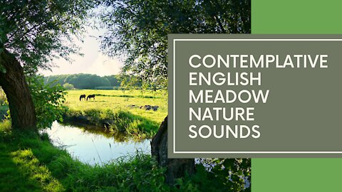 English Meadow Nature Sounds for Relaxation and Meditation