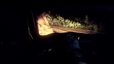 DiRT Rally 2 - RallyHOLiC 11 - New Zealand Event - Stage 4