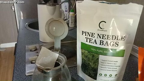My Pine Needle Tea To Protect Against Vaccine Spike Protein "Shedding"