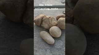 She likes collecting rocks Video By la chef vegana #Shorts