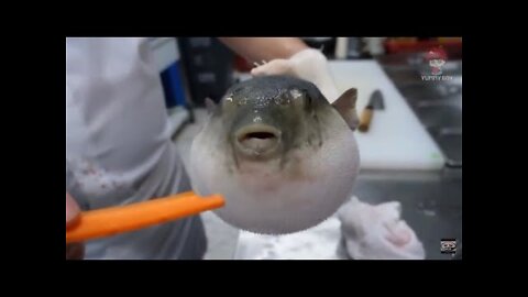 Pufferfish eats carrot (full video)