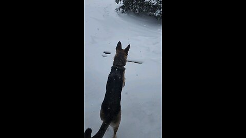 Jordan loving the snow