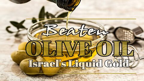 Anointing Olive Oil - Israel's Liquid Gold