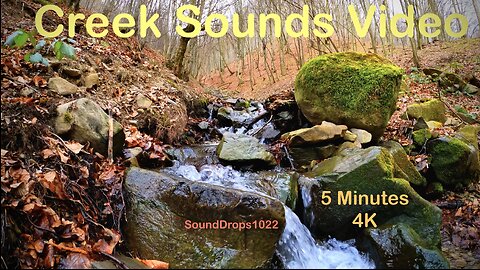 5 Minutes of Tranquil Fall Creek Sounds