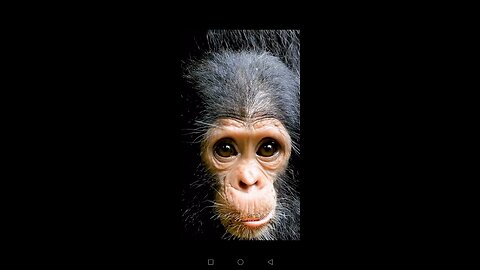 NASA satellite data is helping conserve chimpanzee habitats!⁣