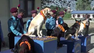 서비스 개들에게 경의를 표하는 네팔 경찰관들