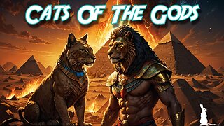 2: Cats Of The Gods