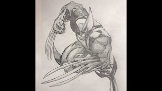 Wolverine Drawing Time-Lapse