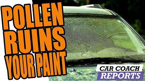 "Does Pollen Ruin Your Car's Paint? Here's What You Need to Know!"