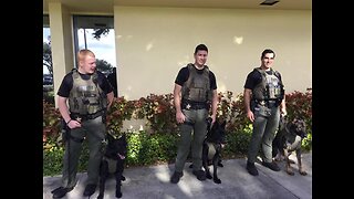 K-9 officers given custom-fit Kevlar vests