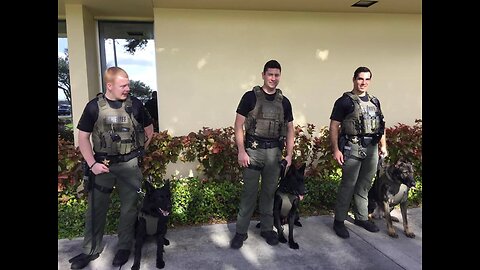 K-9 officers given custom-fit Kevlar vests