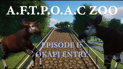 Okapi History in Zoos and Care Overview || AFTPOAC Zoo Episode 1: Okapi Pass