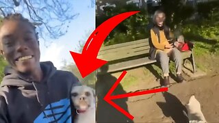 YouTuber Mizzy Stole Dog from Old Lady at the Park
