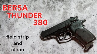 Bersa Thunder 380 field strip and clean