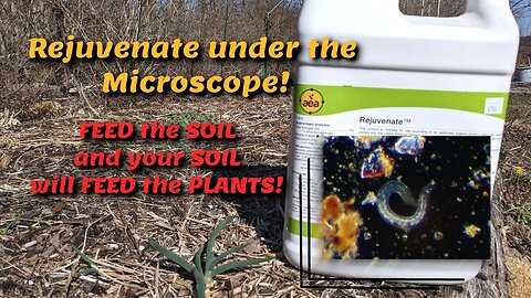 Rejuvenate from AEA under the Microscope! Most requested product to scope!