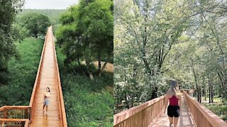 This Quebec Boardwalk Trail Stretches As Far As The Eye Can See Into The Forest (PHOTOS)