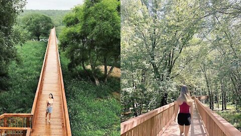 This Quebec Boardwalk Trail Stretches As Far As The Eye Can See Into The Forest (PHOTOS)