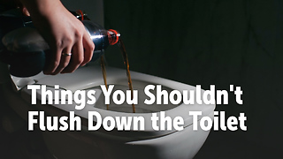 Things You Shouldn't Flush Down the Toilet