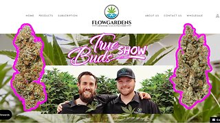 Flow Gardens Emerald Cup Winner 2022 Alternative Cannabinoid Hemp Flower @TrueBudsShow