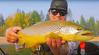 Fishing 5 Days For 5 Species - The Cascade Trout Challenge (Short Film)