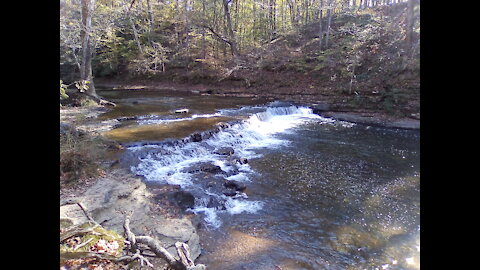 It's a Small World After All at David Crockett State Park (Nov 2020)