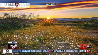 Beautiful sunset around Kern County