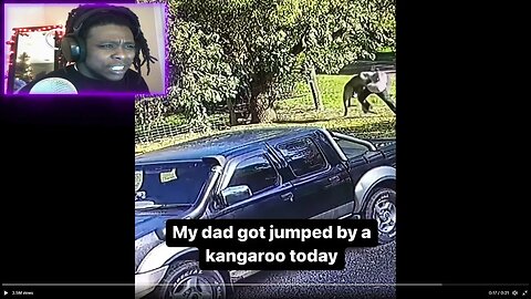 OLD Man gets JUMPED by a KANGAROO but Old Man FIGHTS Back! 🤺