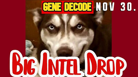 Gene Decode DUMBS - BIG Intel 11.30.2Q23