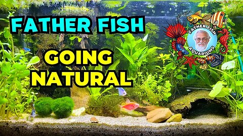 The Father Fish Natural Aquarium