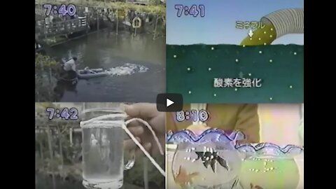 Oxygen NanoBubbles Clean Lake and Fish - 1990 Japan