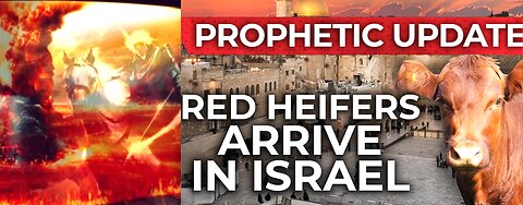 BIBLE PROPHECY BEING FULFILLED-RED HEIFER ABOUT TO BE SACIFICED AT 3RD TEMPLE?*2ND COMING REALITY*