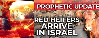 BIBLE PROPHECY BEING FULFILLED-RED HEIFER ABOUT TO BE SACIFICED AT 3RD TEMPLE?*2ND COMING REALITY*