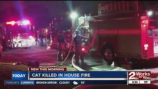 Family loses their home and cat after house fire