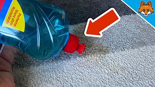 I dumped RINSE AID on the CARPET 💥 (THIS is what HAPPENED) 🤯