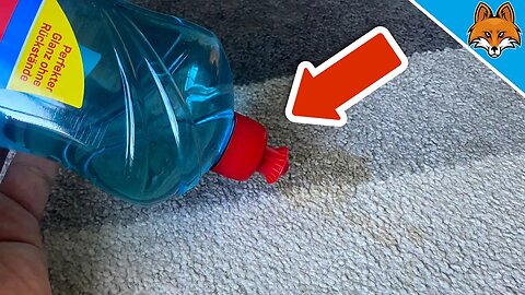 I dumped RINSE AID on the CARPET 💥 (THIS is what HAPPENED) 🤯