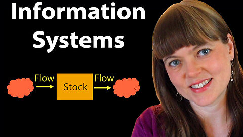 Stock and Flow of Information Systems