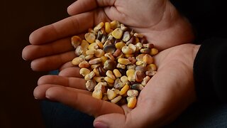 Cherokee Nation Is First U.S. Tribe To Store Seeds In 'Doomsday' Vault