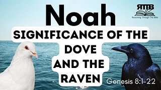 The Raven, the Dove, and the World || Genesis 8:1-22 || Session 19 || Verse by Verse Bible Study