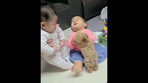 puppy and baby meet the first time || #funnydog #shorts