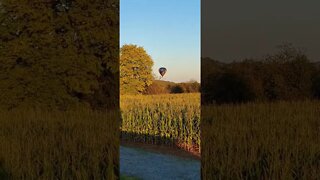 Hot Air Balloon on the Farm???